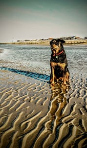 IMG_20170811_073832