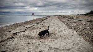 IMG_20180908_094854_HDR