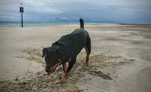 IMG_20170812_074822