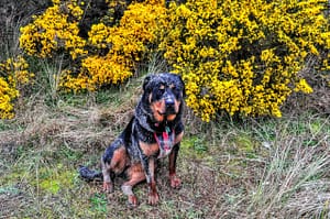 ROB_0976