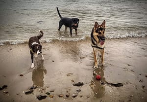 IMG_20180827_105332_1-HDR